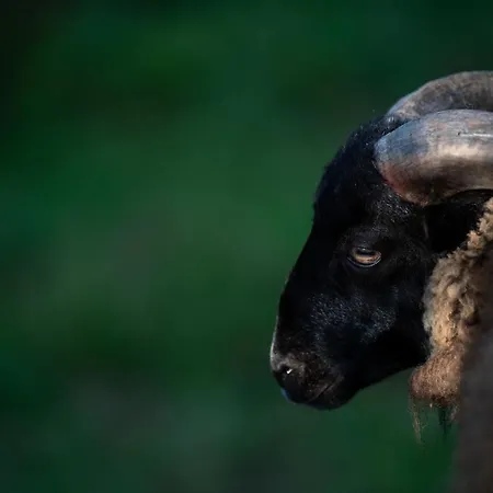 Granja Sierra Hermosa *