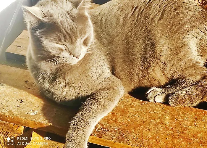 Фермерский дом Granja Sierra Hermosa