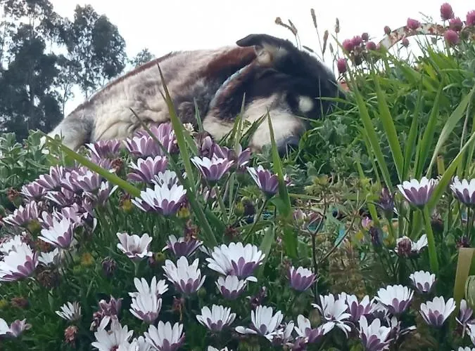 Granja Sierra Hermosa Фермерский дом Cecenas