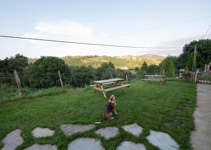 Granja Sierra Hermosa Cecenas