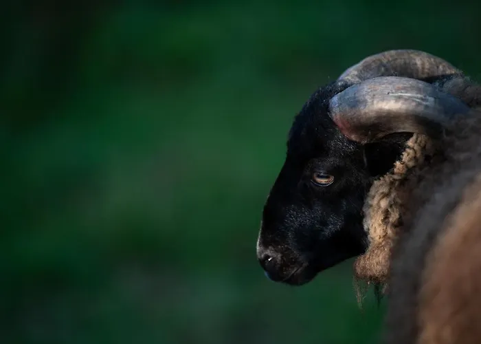 Granja Sierra Hermosa *