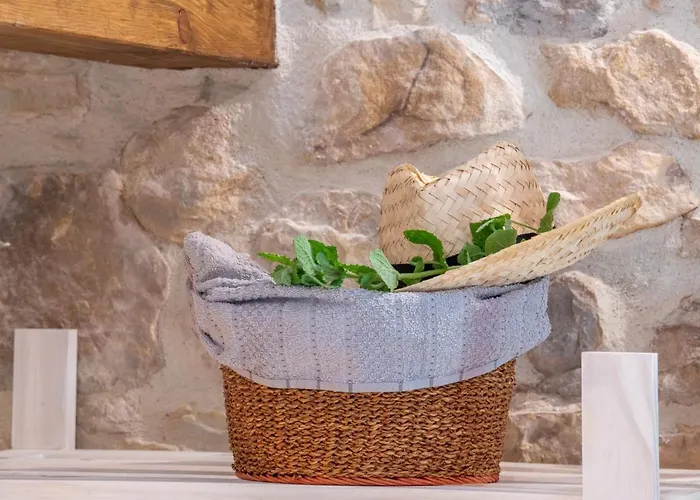 Granja Sierra Hermosa * Cecenas