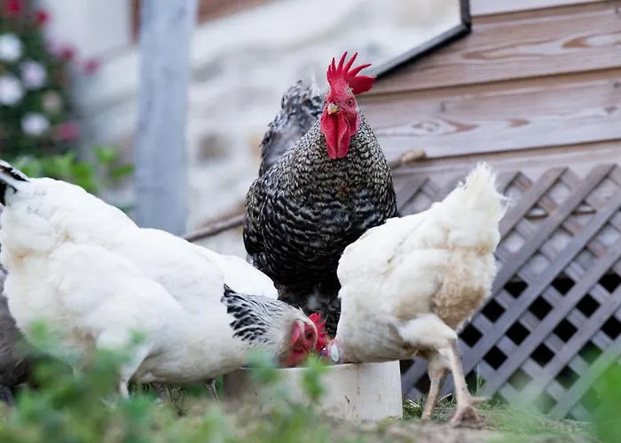 Granja Sierra Hermosa Farmház *