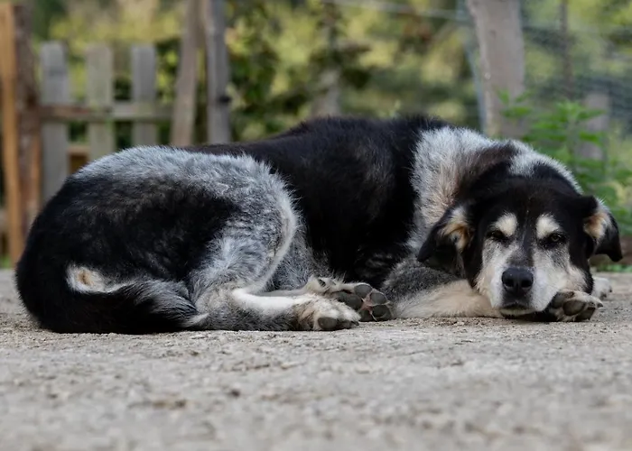 Granja Sierra Hermosa *