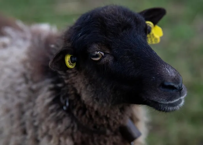 Farmház Granja Sierra Hermosa