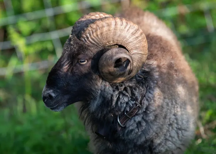 Фермерский дом Granja Sierra Hermosa *