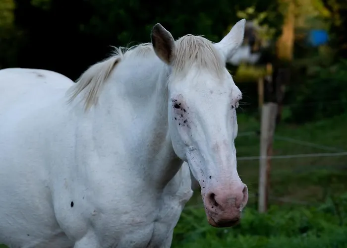 Granja Sierra Hermosa Фермерский дом *